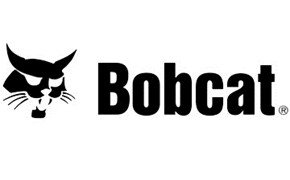 Bobcat